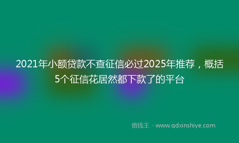 2021年小额贷款不查征信必过2025年推荐，概括5个征信花居然都下款了的平台