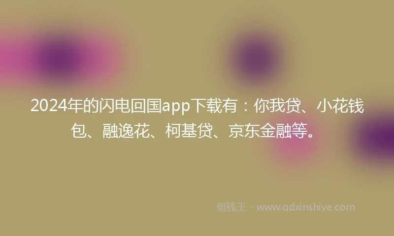 2024年的闪电回国app下载有：你我贷、小花钱包、融逸花、柯基贷、京东金融等。