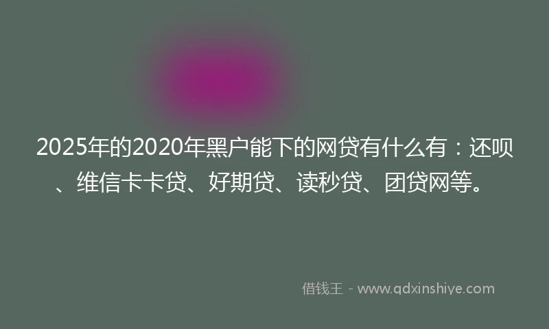 2025年的2020年黑户能下的网贷有什么有：还呗、维信卡卡贷、好期贷、读秒贷、团贷网等。