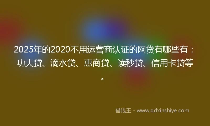 2025年的2020不用运营商认证的网贷有哪些有：功夫贷、滴水贷、惠商贷、读秒贷、信用卡贷等。