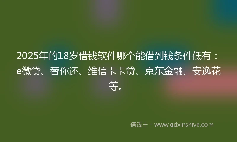 2025年的18岁借钱软件哪个能借到钱条件低有：e微贷、替你还、维信卡卡贷、京东金融、安逸花等。