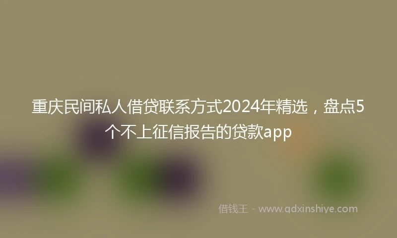 重庆民间私人借贷联系方式2024年精选，盘点5个不上征信报告的贷款app