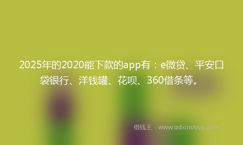 2025年的2020能下款的app有：e微贷、平安口袋银行、洋钱罐、花呗、360借条等。