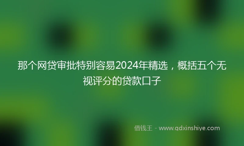 那个网贷审批特别容易2024年精选，概括五个无视评分的贷款口子
