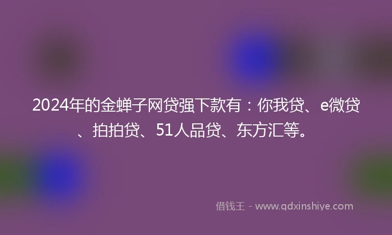 2024年的金蝉子网贷强下款有：你我贷、e微贷、拍拍贷、51人品贷、东方汇等。