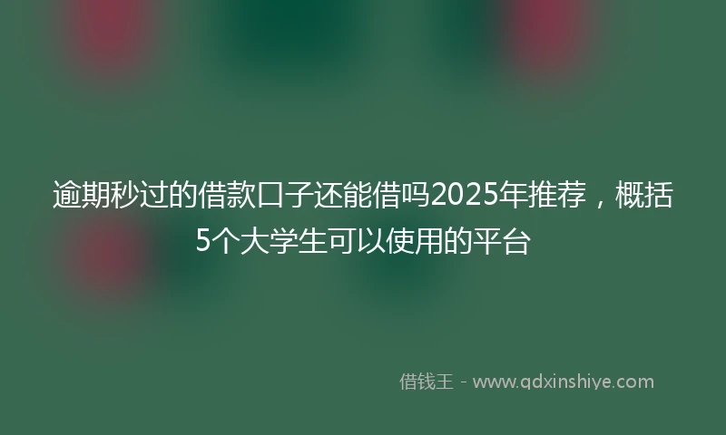 逾期秒过的借款口子还能借吗2025年推荐，概括5个大学生可以使用的平台