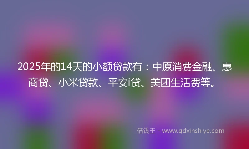 2025年的14天的小额贷款有：中原消费金融、惠商贷、小米贷款、平安i贷、美团生活费等。