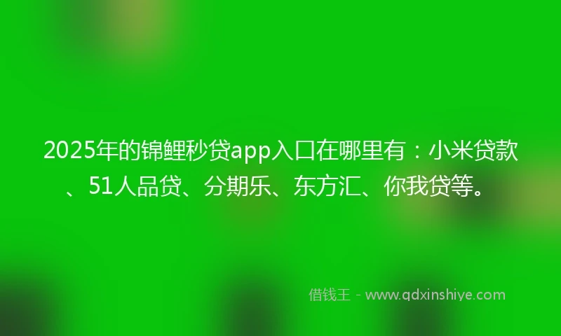 2025年的锦鲤秒贷app入口在哪里有：小米贷款、51人品贷、分期乐、东方汇、你我贷等。