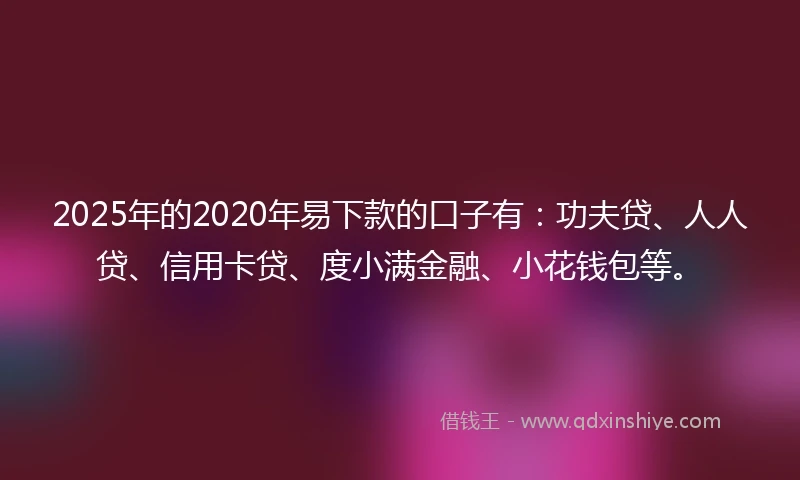 2025年的2020年易下款的口子有：功夫贷、人人贷、信用卡贷、度小满金融、小花钱包等。