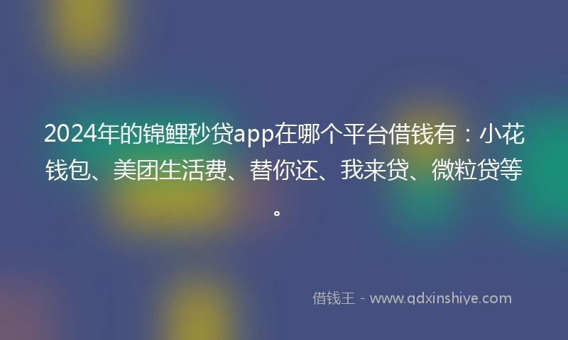 2024年的锦鲤秒贷app在哪个平台借钱有：小花钱包、美团生活费、替你还、我来贷、微粒贷等。
