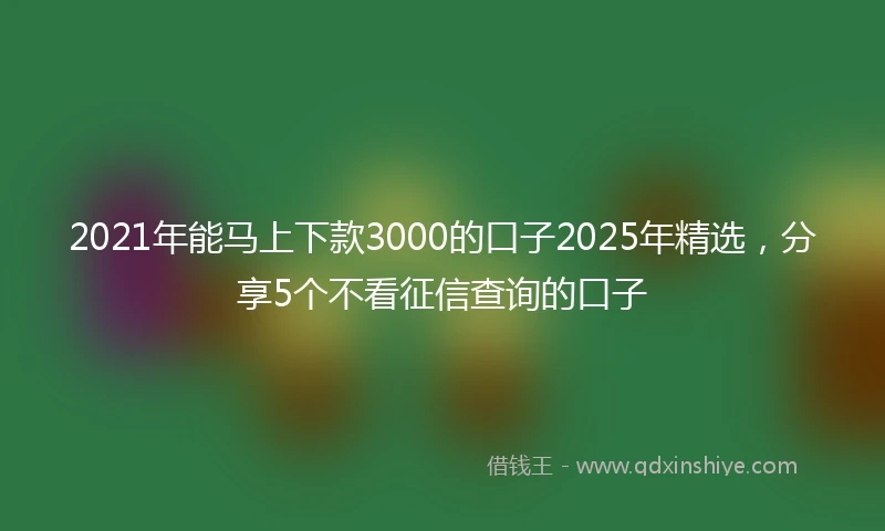 2021年能马上下款3000的口子2025年精选，分享5个不看征信查询的口子