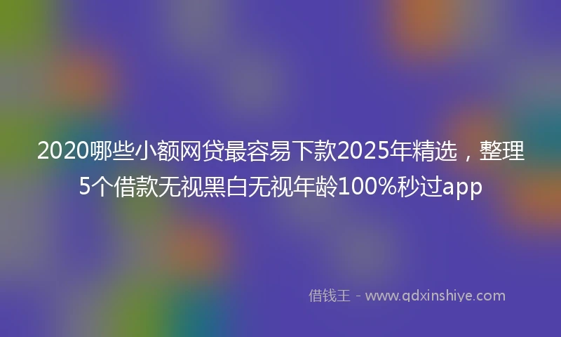 2020哪些小额网贷最容易下款2025年精选，整理5个借款无视黑白无视年龄100%秒过app