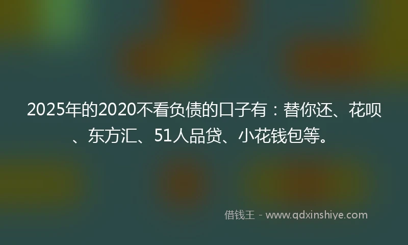 2025年的2020不看负债的口子有：替你还、花呗、东方汇、51人品贷、小花钱包等。