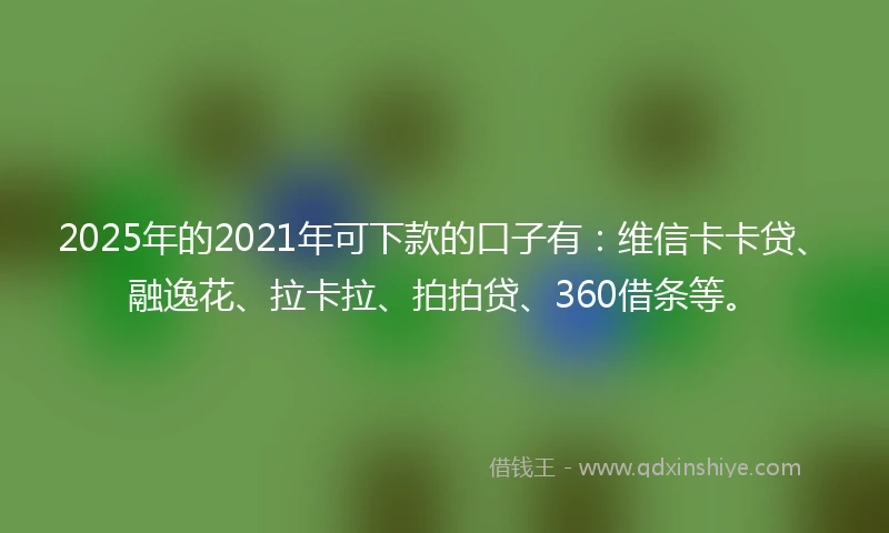 2025年的2021年可下款的口子有：维信卡卡贷、融逸花、拉卡拉、拍拍贷、360借条等。