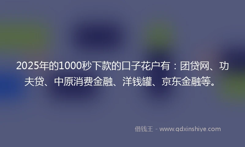 2025年的1000秒下款的口子花户有：团贷网、功夫贷、中原消费金融、洋钱罐、京东金融等。