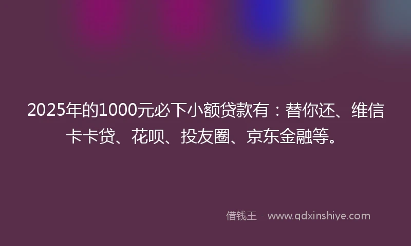 2025年的1000元必下小额贷款有：替你还、维信卡卡贷、花呗、投友圈、京东金融等。