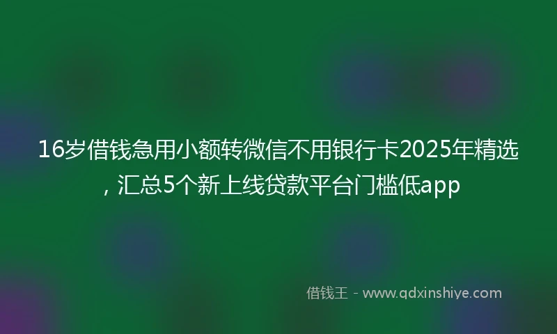 16岁借钱急用小额转微信不用银行卡2025年精选，汇总5个新上线贷款平台门槛低app
