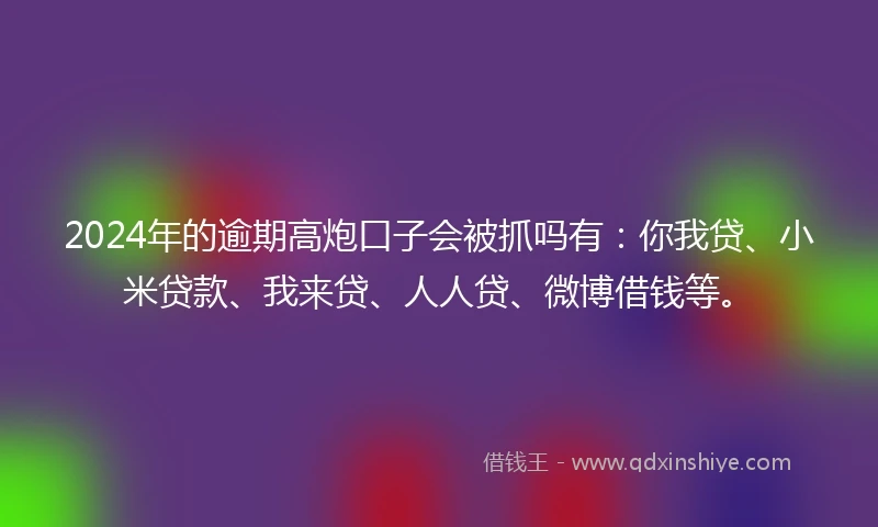 2024年的逾期高炮口子会被抓吗有：你我贷、小米贷款、我来贷、人人贷、微博借钱等。