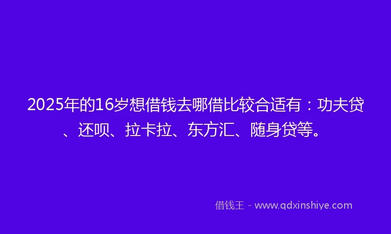 2025年的16岁想借钱去哪借比较合适有：功夫贷、还呗、拉卡拉、东方汇、随身贷等。