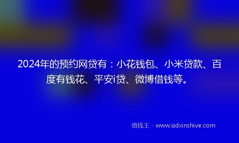2024年的预约网贷有：小花钱包、小米贷款、百度有钱花、平安i贷、微博借钱等。