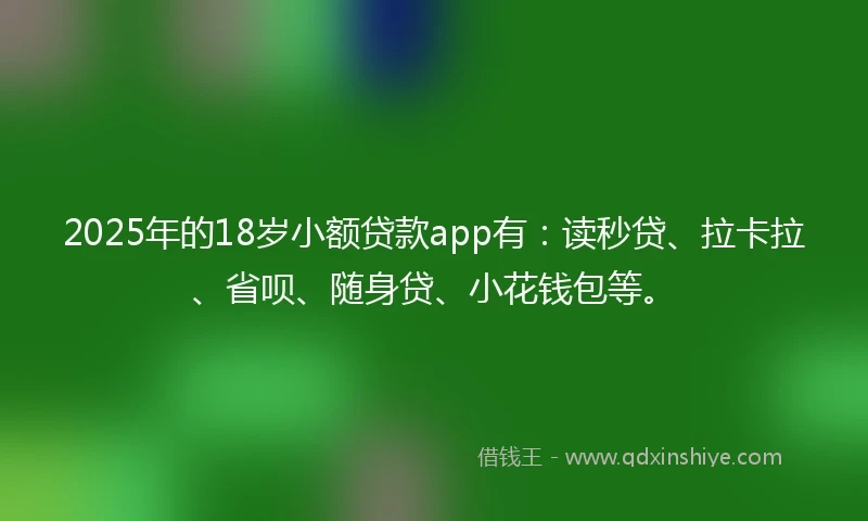 2025年的18岁小额贷款app有：读秒贷、拉卡拉、省呗、随身贷、小花钱包等。
