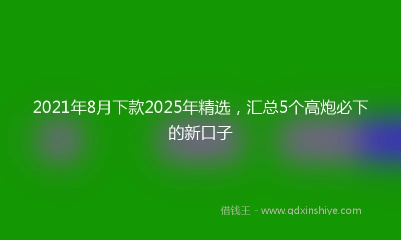 2021年8月下款2025年精选，汇总5个高炮必下的新口子