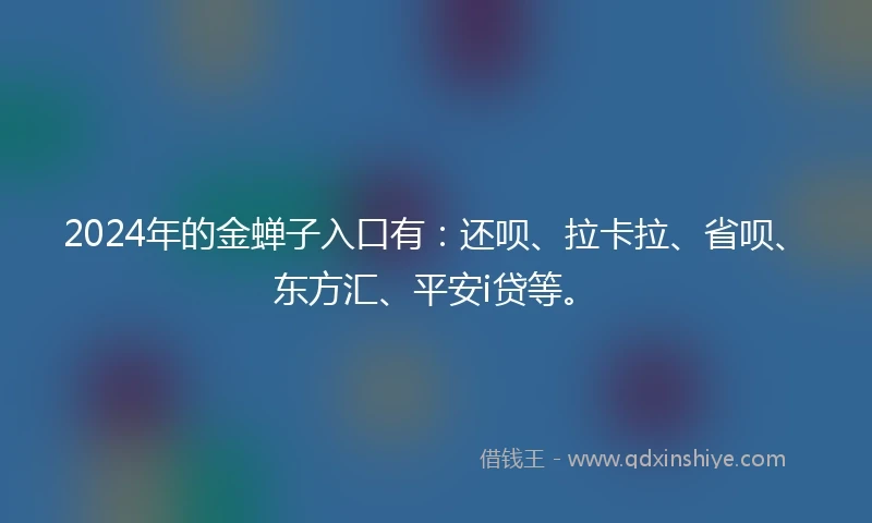 2024年的金蝉子入口有：还呗、拉卡拉、省呗、东方汇、平安i贷等。