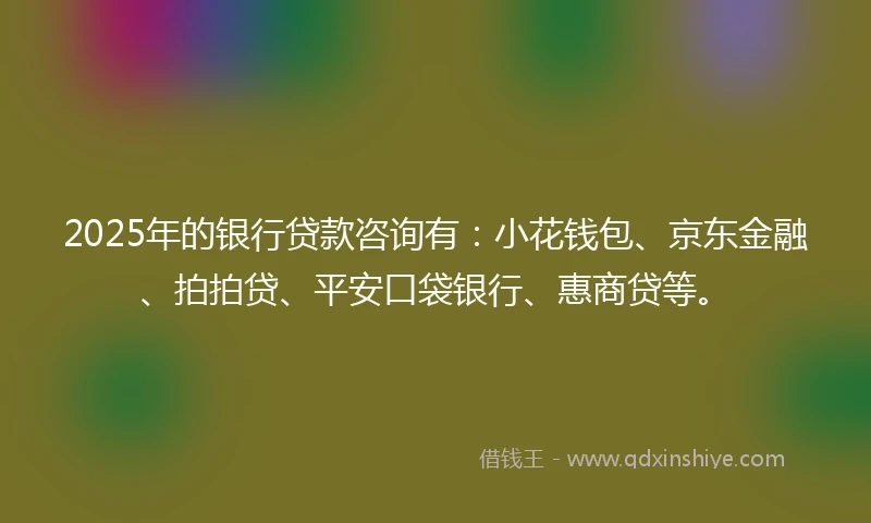 2025年的银行贷款咨询有：小花钱包、京东金融、拍拍贷、平安口袋银行、惠商贷等。