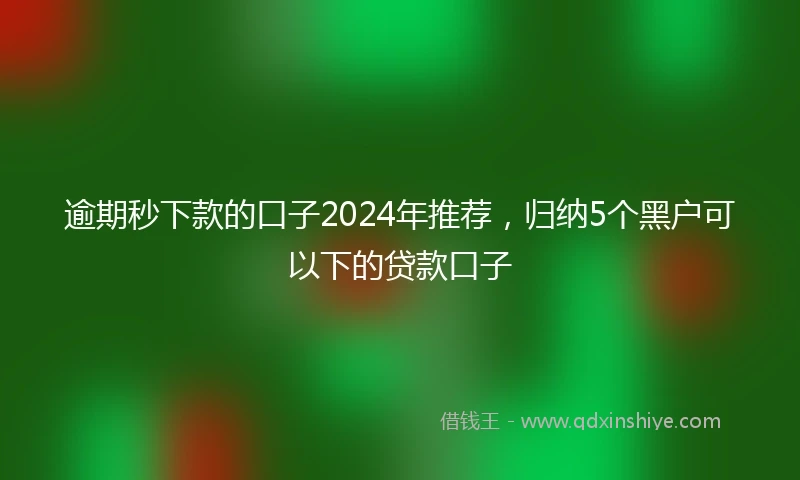 逾期秒下款的口子2024年推荐，归纳5个黑户可以下的贷款口子