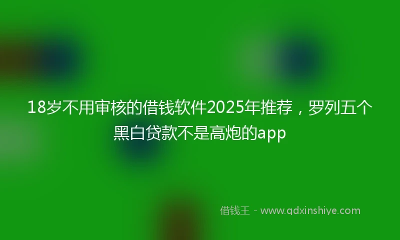 18岁不用审核的借钱软件2025年推荐，罗列五个黑白贷款不是高炮的app