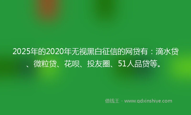 2025年的2020年无视黑白征信的网贷有：滴水贷、微粒贷、花呗、投友圈、51人品贷等。
