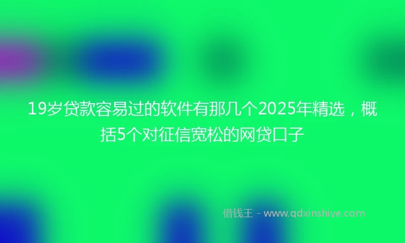 19岁贷款容易过的软件有那几个2025年精选，概括5个对征信宽松的网贷口子
