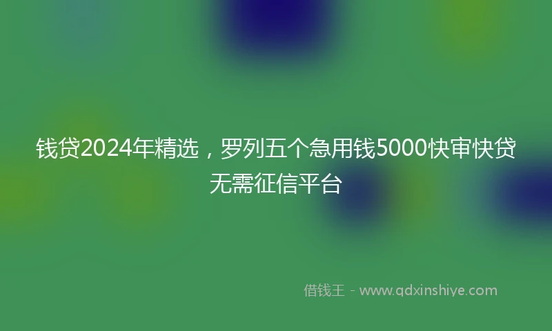 钱贷2024年精选，罗列五个急用钱5000快审快贷无需征信平台