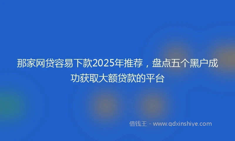 那家网贷容易下款2025年推荐，盘点五个黑户成功获取大额贷款的平台
