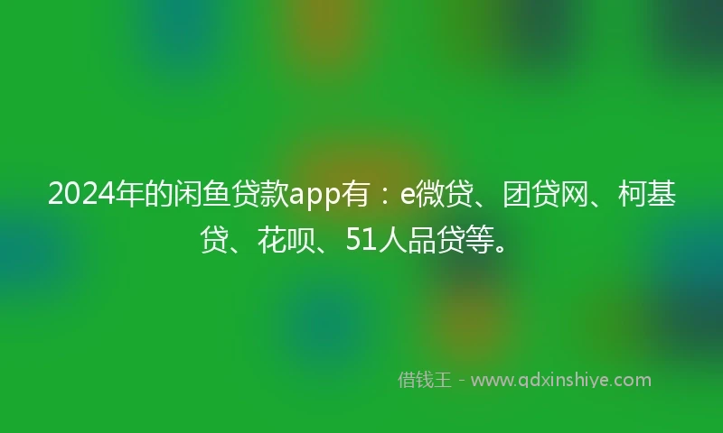 2024年的闲鱼贷款app有：e微贷、团贷网、柯基贷、花呗、51人品贷等。