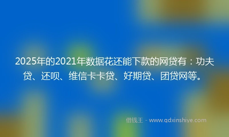 2025年的2021年数据花还能下款的网贷有：功夫贷、还呗、维信卡卡贷、好期贷、团贷网等。