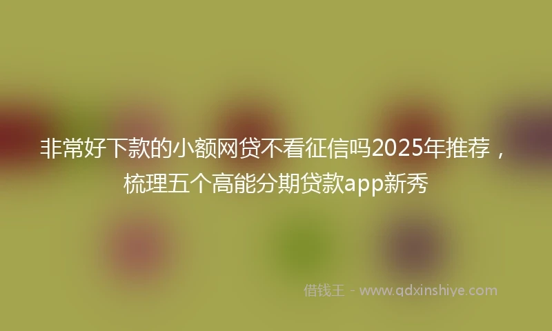 非常好下款的小额网贷不看征信吗2025年推荐，梳理五个高能分期贷款app新秀