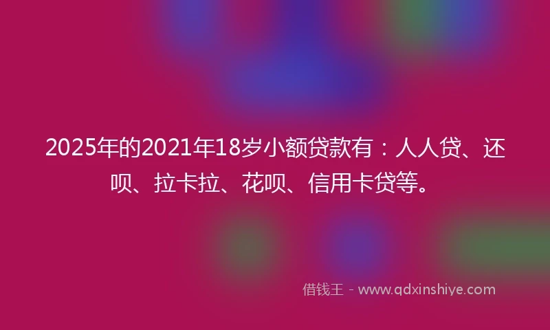 2025年的2021年18岁小额贷款有：人人贷、还呗、拉卡拉、花呗、信用卡贷等。