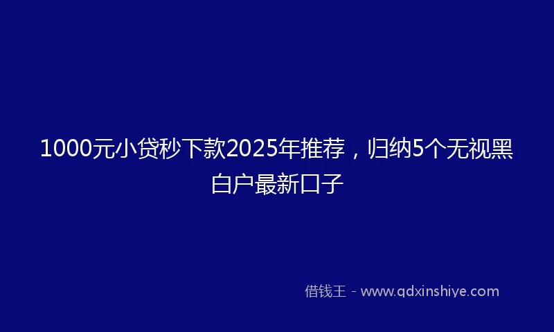 1000元小贷秒下款2025年推荐，归纳5个无视黑白户最新口子