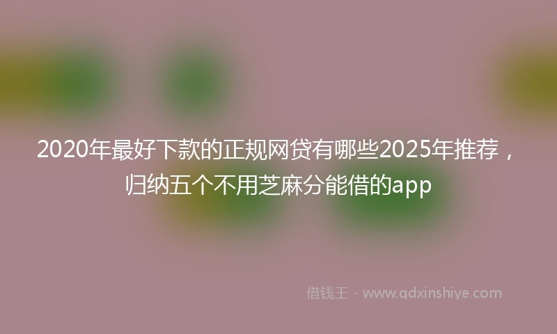 2020年最好下款的正规网贷有哪些2025年推荐，归纳五个不用芝麻分能借的app
