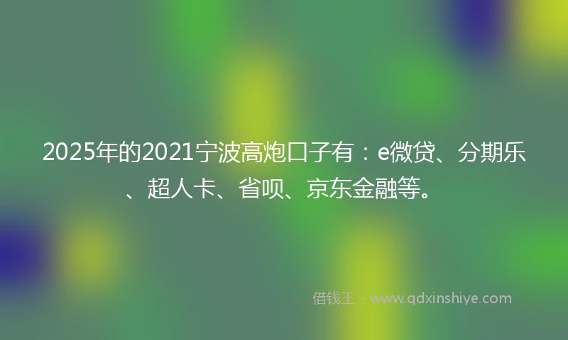 2025年的2021宁波高炮口子有：e微贷、分期乐、超人卡、省呗、京东金融等。