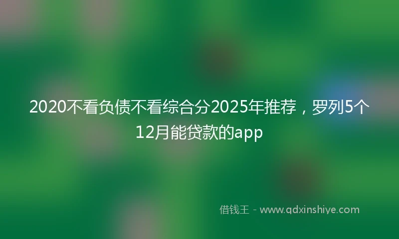 2020不看负债不看综合分2025年推荐，罗列5个12月能贷款的app