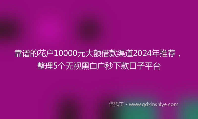 靠谱的花户10000元大额借款渠道2024年推荐，整理5个无视黑白户秒下款口子平台