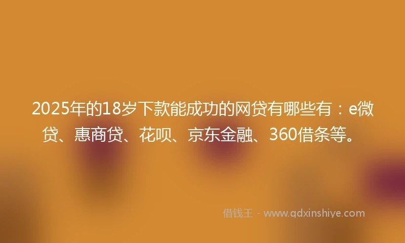 2025年的18岁下款能成功的网贷有哪些有：e微贷、惠商贷、花呗、京东金融、360借条等。