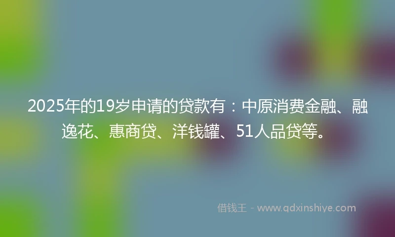 2025年的19岁申请的贷款有：中原消费金融、融逸花、惠商贷、洋钱罐、51人品贷等。