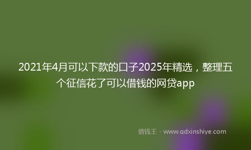 2021年4月可以下款的口子2025年精选，整理五个征信花了可以借钱的网贷app