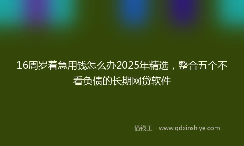 16周岁着急用钱怎么办2025年精选，整合五个不看负债的长期网贷软件