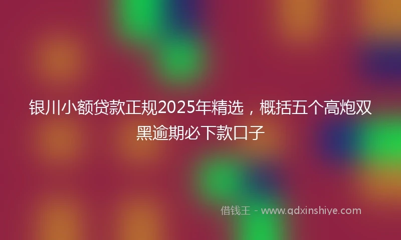 银川小额贷款正规2025年精选，概括五个高炮双黑逾期必下款口子