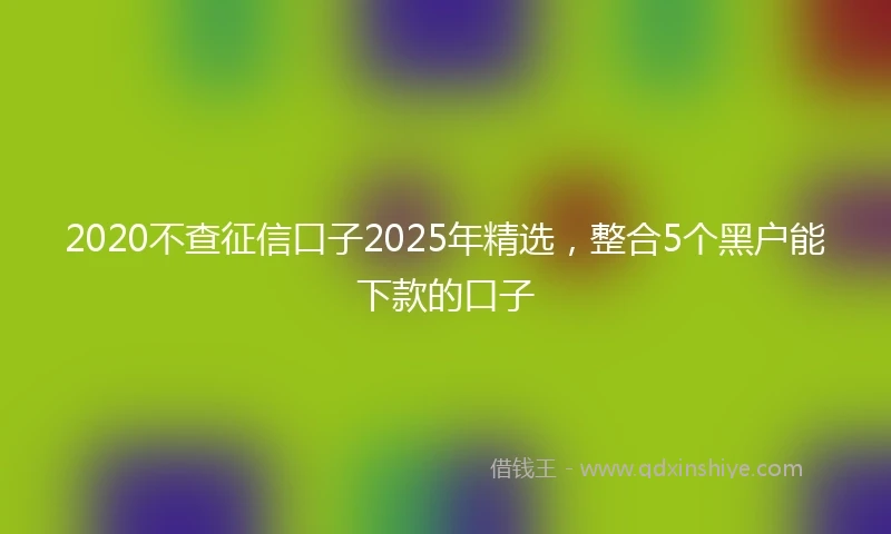 2020不查征信口子2025年精选，整合5个黑户能下款的口子