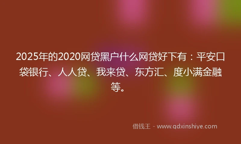 2025年的2020网贷黑户什么网贷好下有：平安口袋银行、人人贷、我来贷、东方汇、度小满金融等。